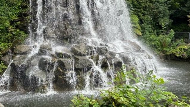 Waterfall with greenery backdrop
